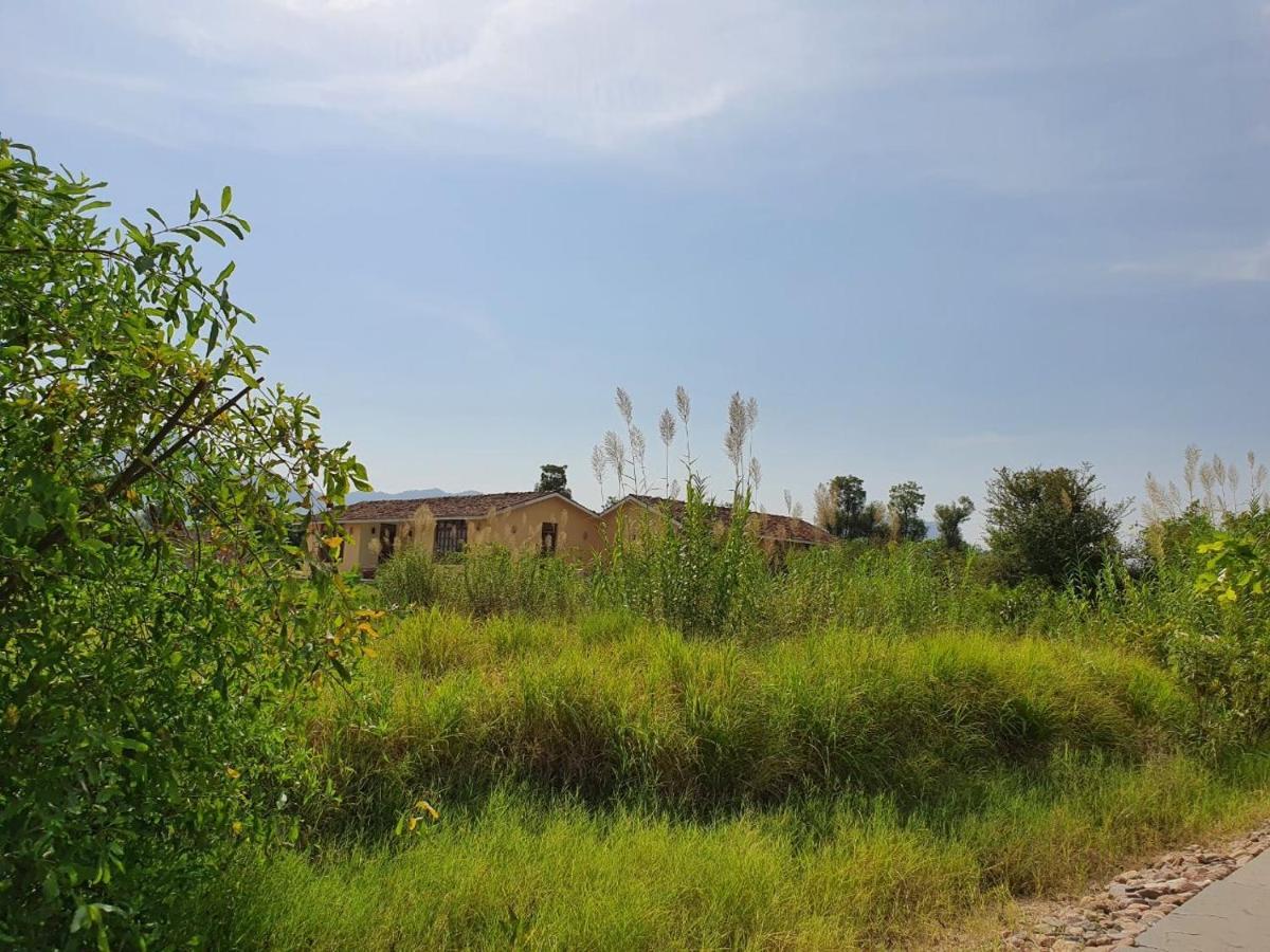Bijapur Lodge Jawai Exterior photo